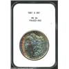 Image 1 : 1881-S S$1 MS64 NGC. The reverse is white with a tiny band of golden peripheral toning, while the ob