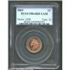Image 1 : 1869 1C PR64 Red Cameo PCGS. There are only four Cameo-designated 1869 Indian Cents at PCGS (3/03),.