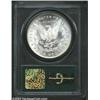 Image 2 : 1878 7/8TF S$1 Strong MS64 PCGS. Ample portions of five feathers appear beneath the prominent seven.