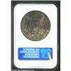 Image 2 : 1878-S S$1 MS65 NGC. Fully struck with deep, mottled toning over each side. Really a sharp looking f