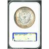 Image 2 : 1887 S$1 MS65 NGC. Bands of bright golden-brown, electric-blue, violet, and rose patina alternate ac