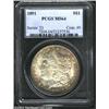 Image 1 : 1891 S$1 MS64 PCGS. A deep coating of mauve-brown, green, and rose patina entirely blankets the reve