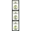 Image 1 : 1923 S$1 MS65 NGC, three pieces, a highly lustrous and lightly toned grouping. 3 coins Important not