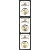 Image 1 : 1923 S$1 MS65 NGC. Three Gems, all sharply struck, lightly toned and lustrous. All three have a few.