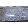Image 3 : Luna Pearl 12" x 12" Polished Tile- 1 crate, 360 pieces approx 360sq ft retail value of 5022.00