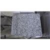 Image 1 : Luna Pearl 12" x 12" Granite Tile- 1 crate, 290 pieces approx 290sq ft retail value of 4045.00