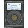 Image 1 : 1857 1C MS62 PCGS....