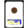 Image 2 : 1908 1C MS65 Red NGC....