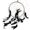 Image 3 : 2 Native American Dream Catchers