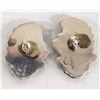 Image 2 : Navajo Sterling Silver Earrings by Jerry Cowboy