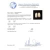 Image 3 : 18KT Yellow Gold 2.77 ctw Diamond Earrings
