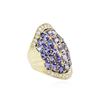 Image 2 : 14KT Yellow Gold 7.21 ctw Tanzanite and Diamond Ring