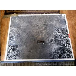 24”X30” SURFACE SHIELDS CLEAN MAT