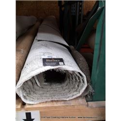 CARPET REMNANT