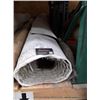 Image 1 : CARPET REMNANT