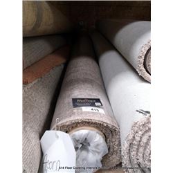 12' X 8' CARPET REMNANT