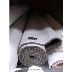 12' X 17' 3" CARPET REMNANT