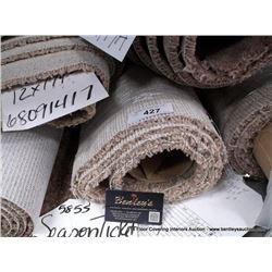 12' X 6' 5" CARPET REMNANT