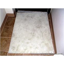 36" X 48" AREA RUG