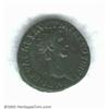 Image 3 : Nerva,...