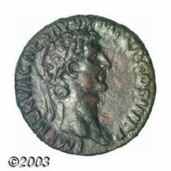 Nerva,...