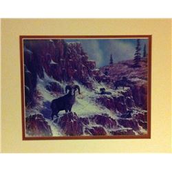 "Big Horn Rams" by Ronnie Holze RF