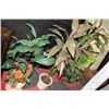 Image 1 : 3 VARIOUS ARTIFICIAL PLANTS