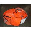 Image 1 : BAG: SAFETY VESTS