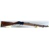 Image 2 : MARTINI ENFIELD CARBINE RIFLE