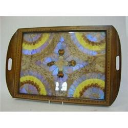A MAHOGANY AND PARQUETRY TRAY, 1920's, set with a geometric arrangemant of butterfly wings, (dete...