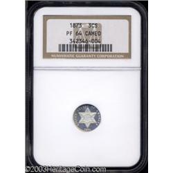 1873 3CS PR64 Cameo NGC.