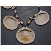 Image 6 : SINAGUA SHELL NECKLACE