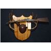 Image 2 : Hamilton (15" Rolled Tin Barrel) - 1908 - 1930 - Model 27 - Rare Boy's Rifle - 22 RF