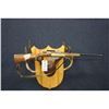 Image 1 : Mannlicher Carcano - Model 91 - 6.5 x 53