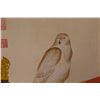 Image 5 : WC Owl Scroll Signed Wen Congjian 1574-1648