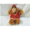 Image 1 : ALF PLUSH PUPPET WITH ORBITERS TSHIRT