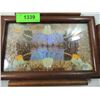 Image 2 : VINTAGE BUTTERFLY WING TRAY
