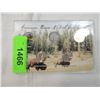 Image 1 : AMERICAN BISON NICKEL COLLECTION