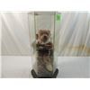 Image 2 : TEDDY BEAR DIORAMA