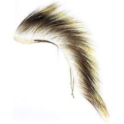 Northern Plains Porcupine hair dance roach,