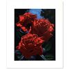 Image 1 : Magenta Roses by  Brian Davis