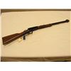 Image 1 : Henry .22 Lever Action Rifle (New)