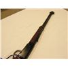 Image 5 : Henry .22 Lever Action Rifle (New)
