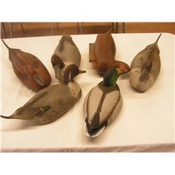 (x6) DUCK Decoys (Rubber and Plastic)