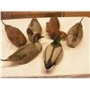 Image 1 : (x6) DUCK Decoys (Rubber and Plastic)