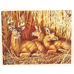 DUCKS UNLIMITED METAL SIGN APPROX. 16" X 13"