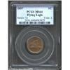 Image 1 : 1857 1C MS64 PCGS. Glossy and very well defined, with blushes of steel-blue patina primarily on the.