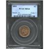 Image 1 : 1859 1C MS64 PCGS. Honey-golden patina with a few light contact marks. A few of the feather tips are