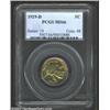 Image 1 : 1929-D 5C MS66 PCGS. Like the plate coin in the 2000 book The Complete Guide to Buffalo Nickels, thi
