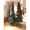 Image 1 : CHRISTMAS TREES ON STANDS (3)